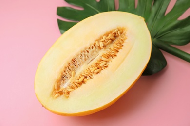 Juicy melon with tropical leaf on color background