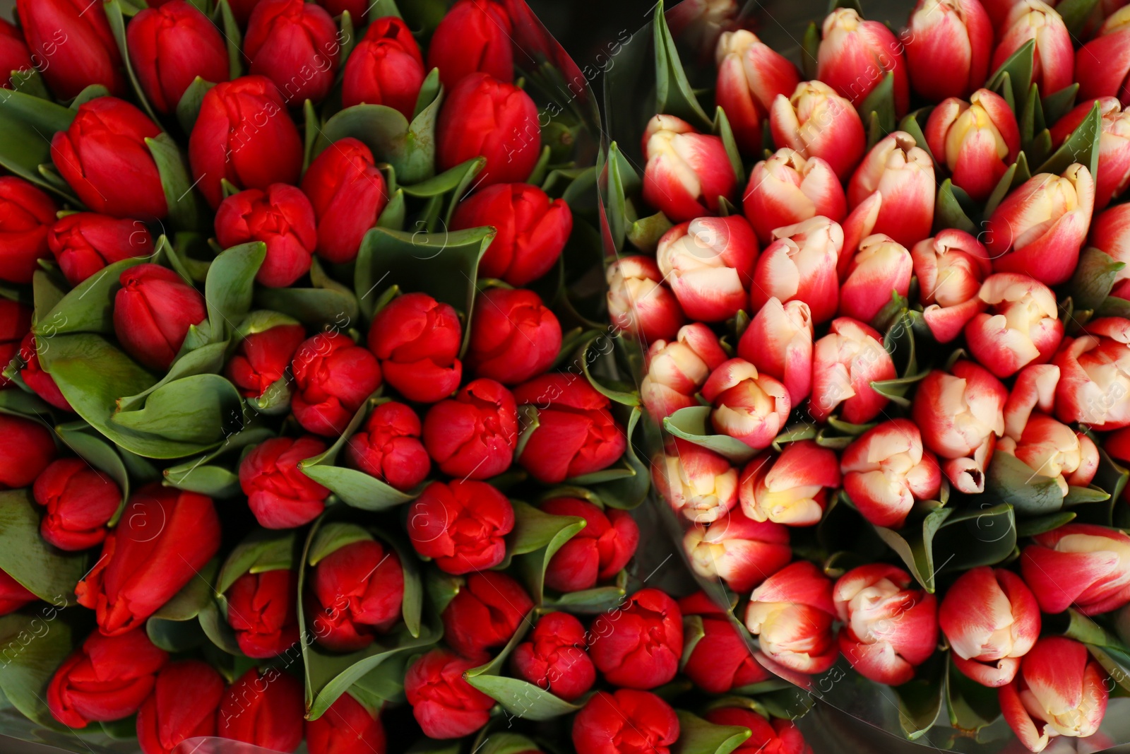 Photo of Fresh colorful bouquets with tulip flowers, top view