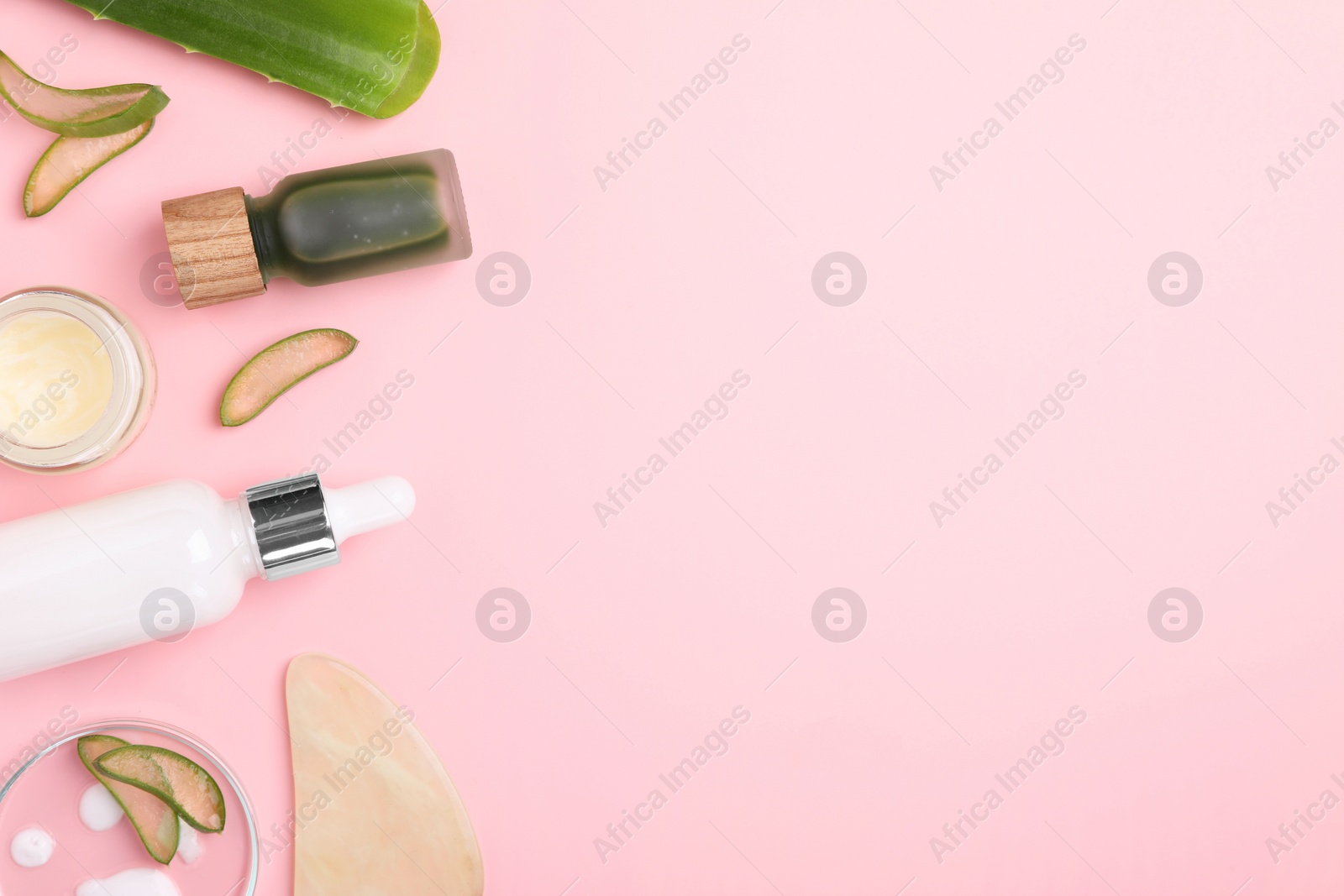 Photo of Cosmetic products, cut aloe leaves and gua sha tool on pink background, flat lay. Space for text