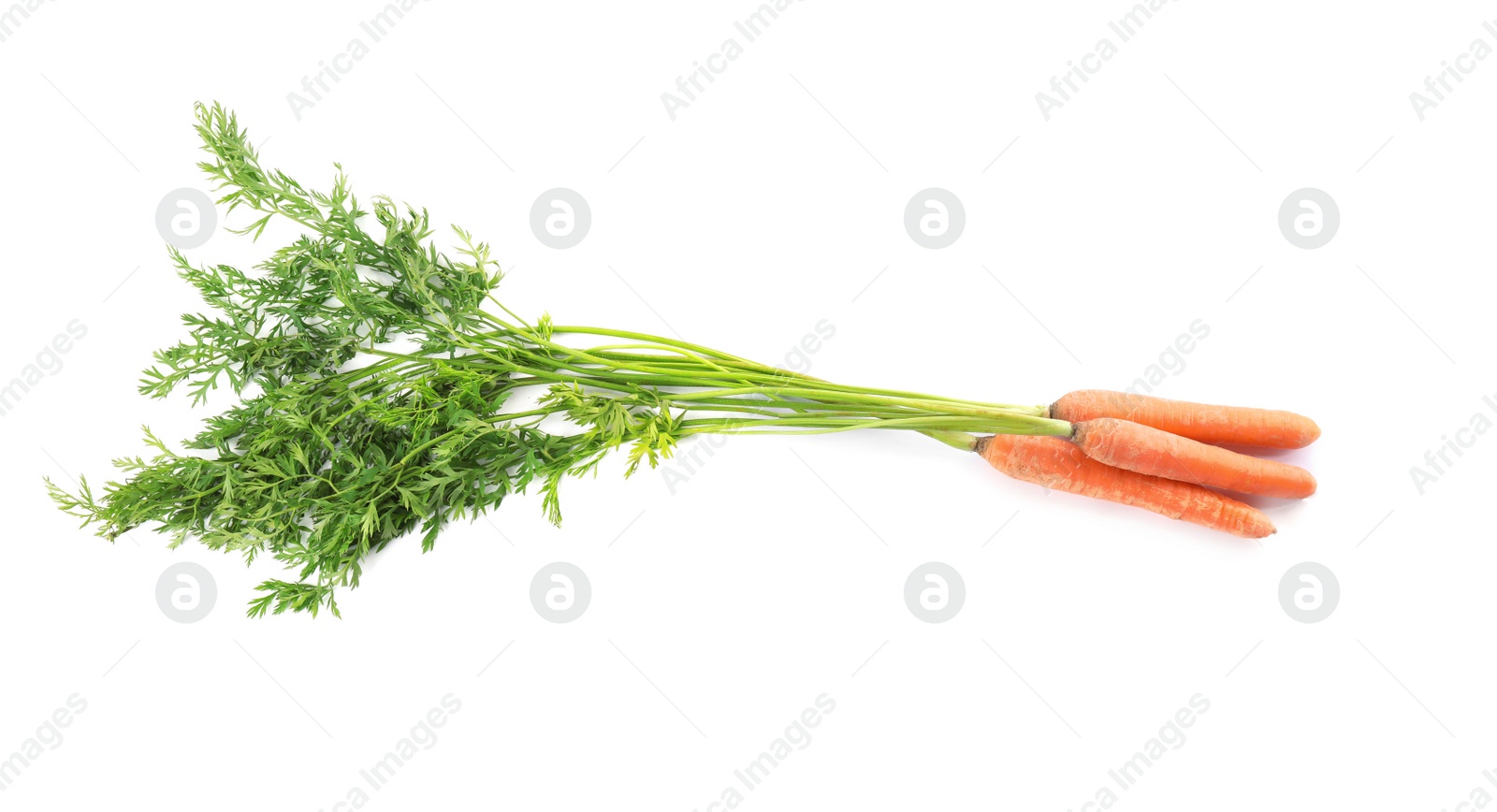 Bunch of fresh ripe carrots isolated on white Photo of Bunch of fresh ripe carrots isolated on white