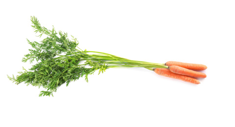 Photo of Bunch of fresh ripe carrots isolated on white