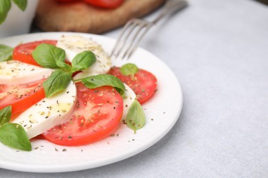 Photo of Plate of delicious Caprese salad with herbs on light grey table, closeup. Space for text