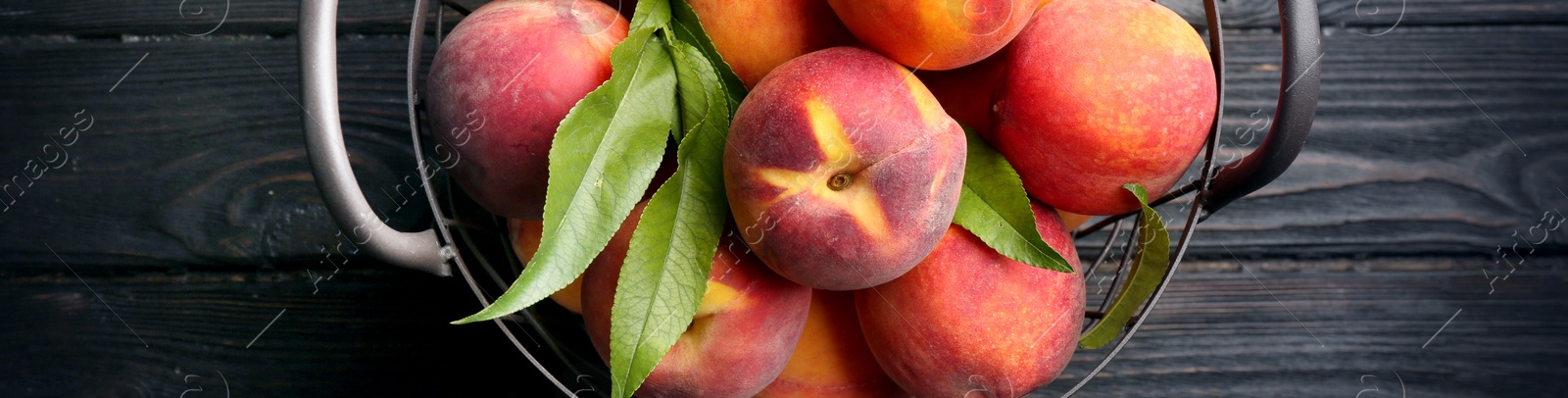 Image of Fresh ripe peaches and green leaves in metal basket on black wooden table, top view. Banner design