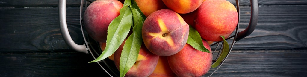 Image of Fresh ripe peaches and green leaves in metal basket on black wooden table, top view. Banner design