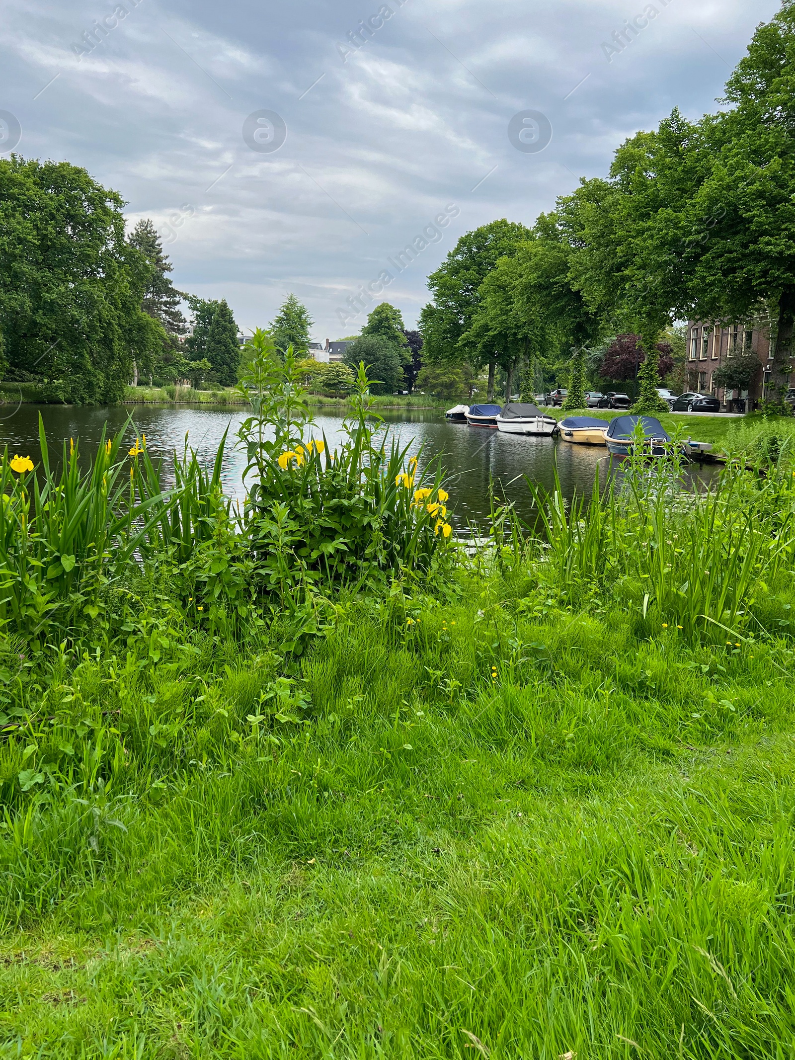 Photo of Beautiful view of city canal with moored boats surrounded by greenery on cloudy day