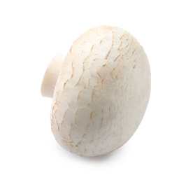 Fresh raw champignon mushroom on white background