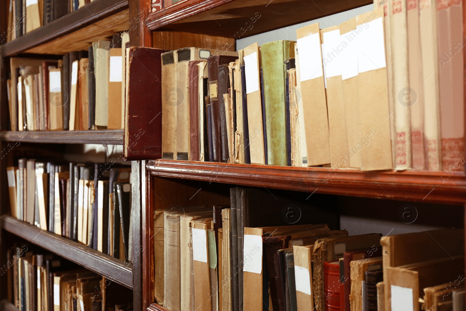 Image of Collection of different books on shelves in library