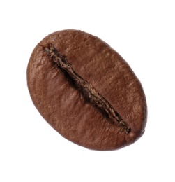 Photo of Coffee bean on white background