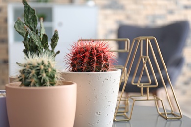 Different beautiful cacti in flowerpots on table