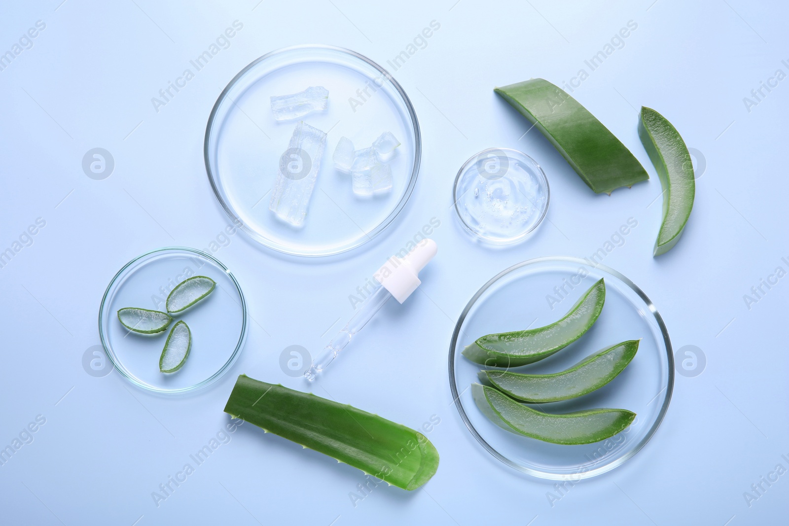 Photo of Flat lay composition with aloe vera leaves and cosmetic gel on light blue background