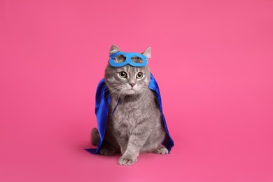 Photo of Adorable cat in blue superhero cape and mask on pink background
