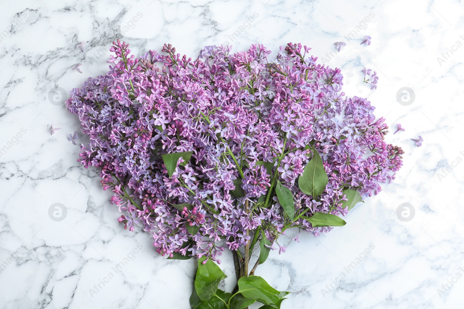 Photo of Blossoming lilac on marble table, top view. Spring flowers