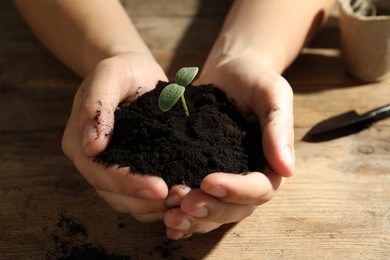 Photo of Woman holding soil with seedling at wooden table, closeup