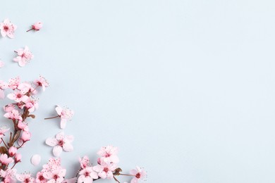 Photo of Beautiful spring tree blossoms as border on light background, flat lay. Space for text