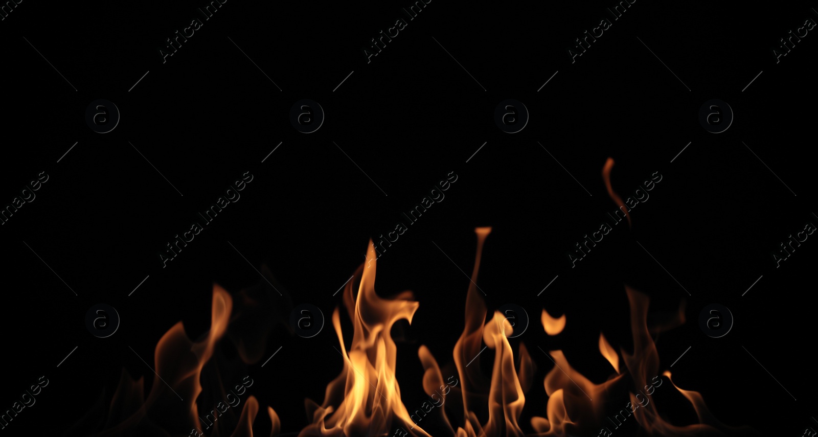 Photo of Beautiful bright fire flames on black background