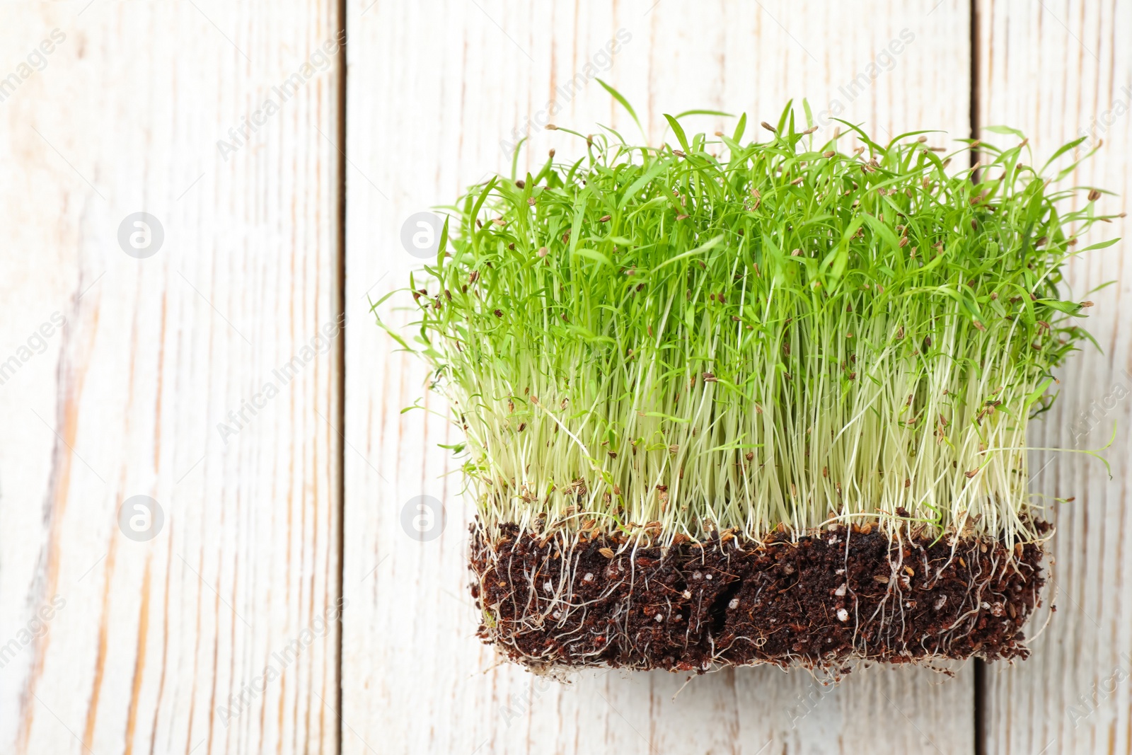 Photo of Fresh organic microgreen on white wooden table, top view. Space for text