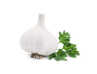 Fresh garlic bulb and parsley isolated on white