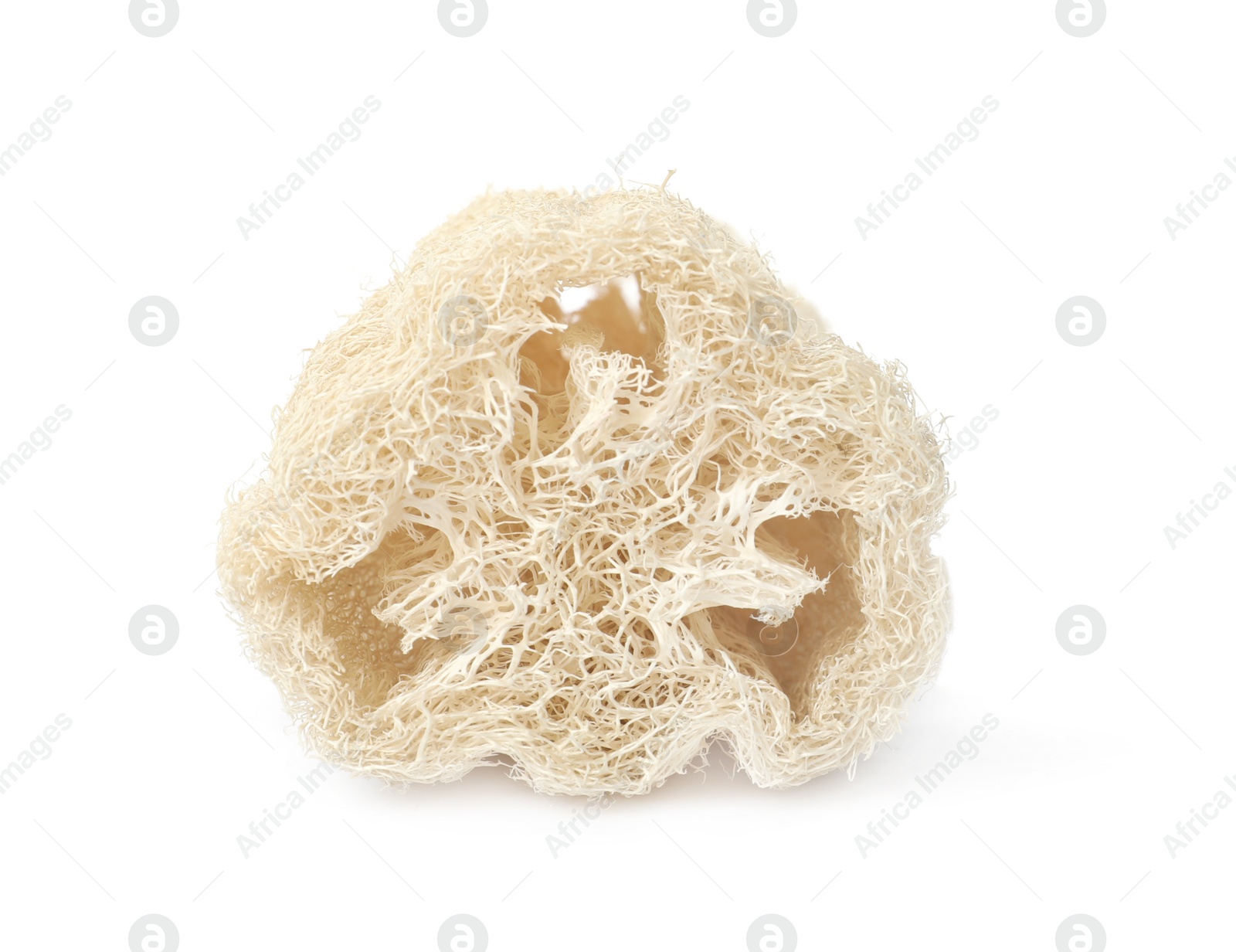 Photo of Natural shower loofah sponge isolated on white