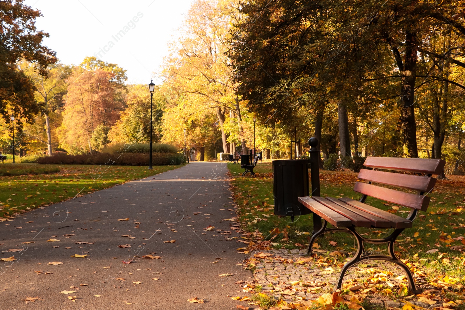 Photo of Picturesque view of park with pathway, beautiful trees and bench. Autumn season
