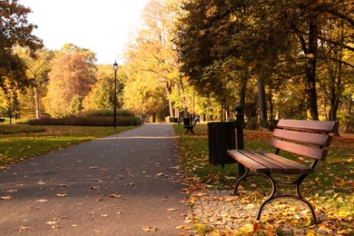 Picturesque view of park with pathway, beautiful trees and bench. Autumn season