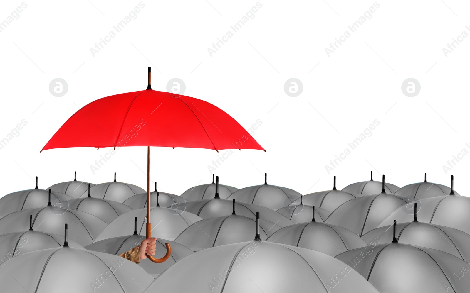 Image of Person holding umbrella over other on white background 