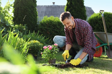 Photo of Happy man transplanting beautiful flowers into soil outdoors on sunny day. Gardening time