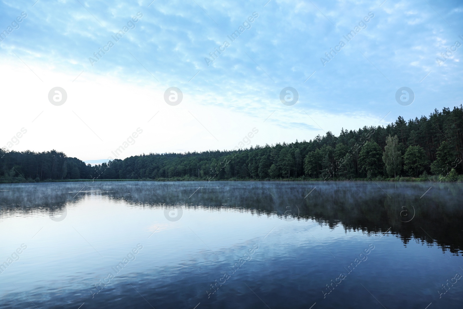 Photo of Beautiful landscape with forest near lake. Camping season