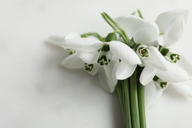 Beautiful snowdrops on light table, closeup. Space for text