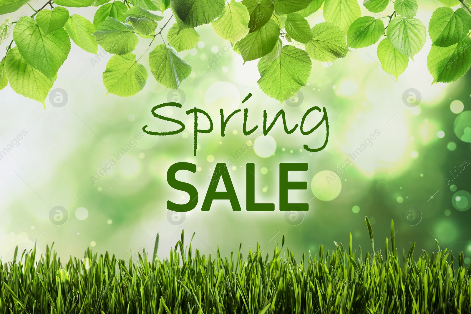 Image of Spring sale flyer design with text, leaves and green meadow, bokeh effect