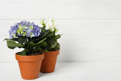 Photo of Different beautiful blooming plants in flower pots on white wooden table, space for text