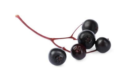 Delicious ripe black elderberries isolated on white