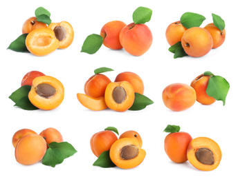 Image of Set of fresh apricots on white background