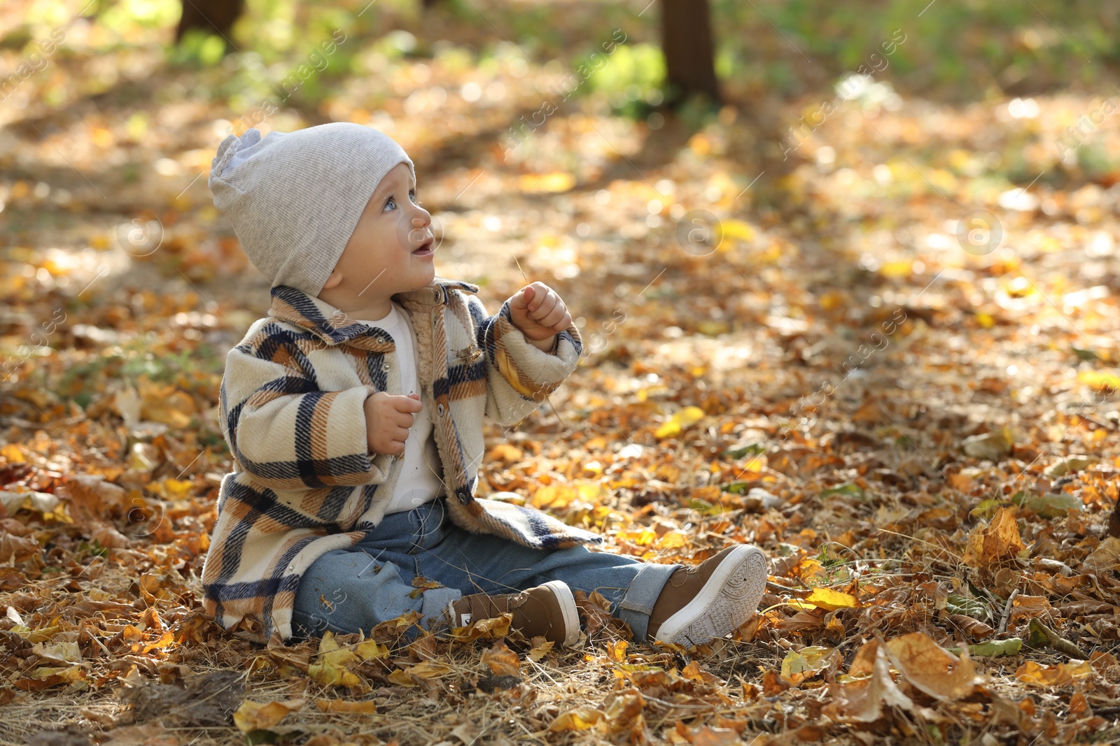 Photo of Cute little child on ground with dry leaves in autumn park, space for text