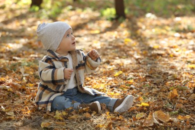 Cute little child on ground with dry leaves in autumn park, space for text