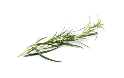 One sprig of fresh tarragon on white background