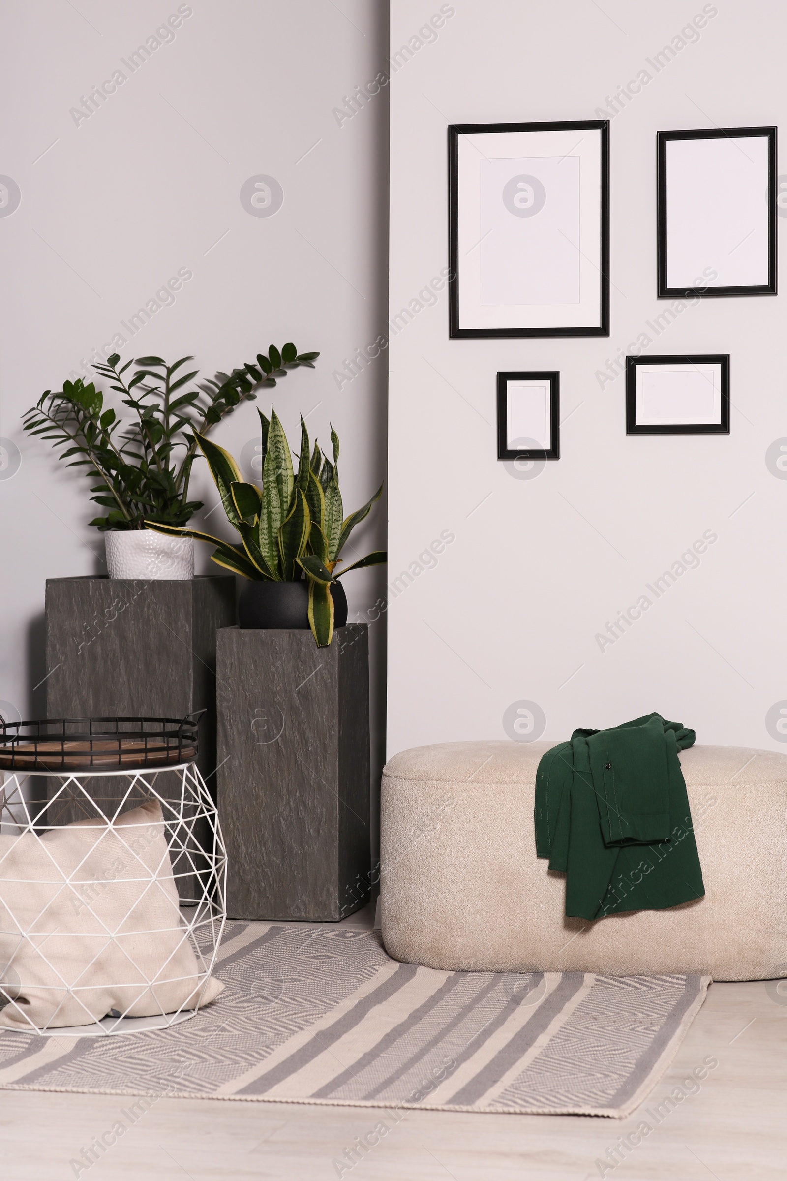 Photo of Empty frames hanging on white wall in stylish room