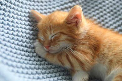 Photo of Sleeping cute little red kitten on light blue blanket, closeup view