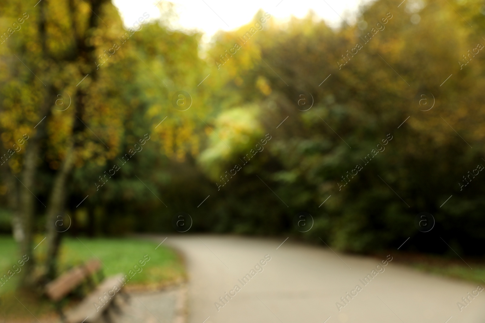 Photo of Blurred view of beautiful park with trees on autumn day