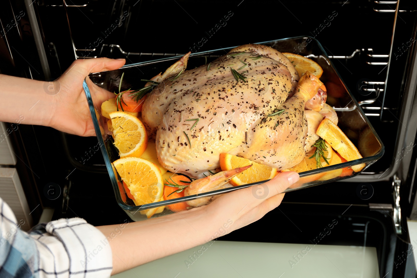 Photo of Woman putting raw chicken with orange slices into oven, closeup