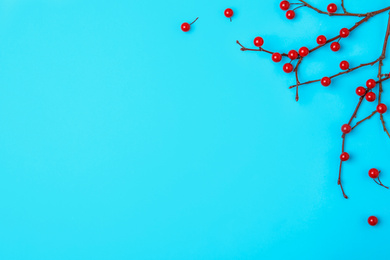 Winter composition with decorative branches on light blue background, flat lay. Space for text