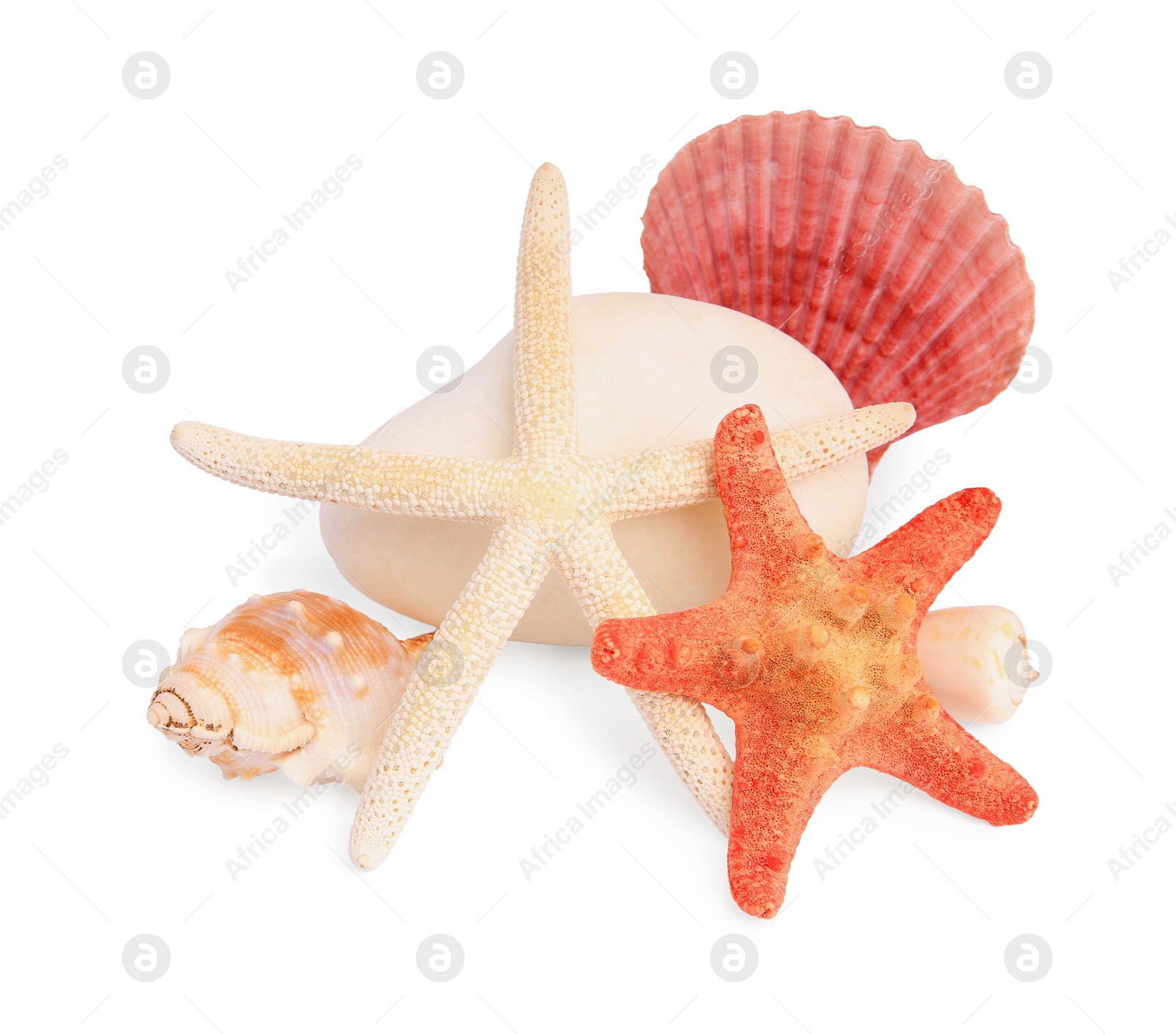 Photo of Beautiful sea stars, stone and seashells isolated on white