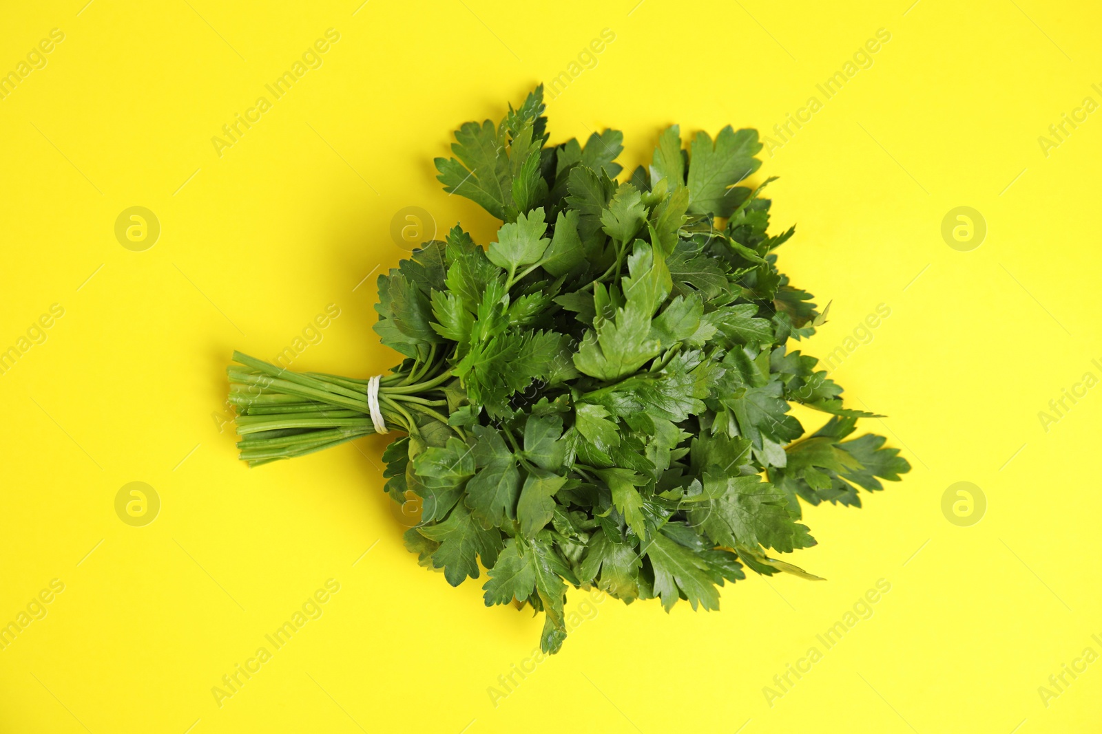 Photo of Bunch of fresh green parsley on color background, view from above