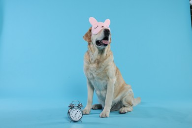 Cute Labrador Retriever with sleep mask and alarm clock on light blue background