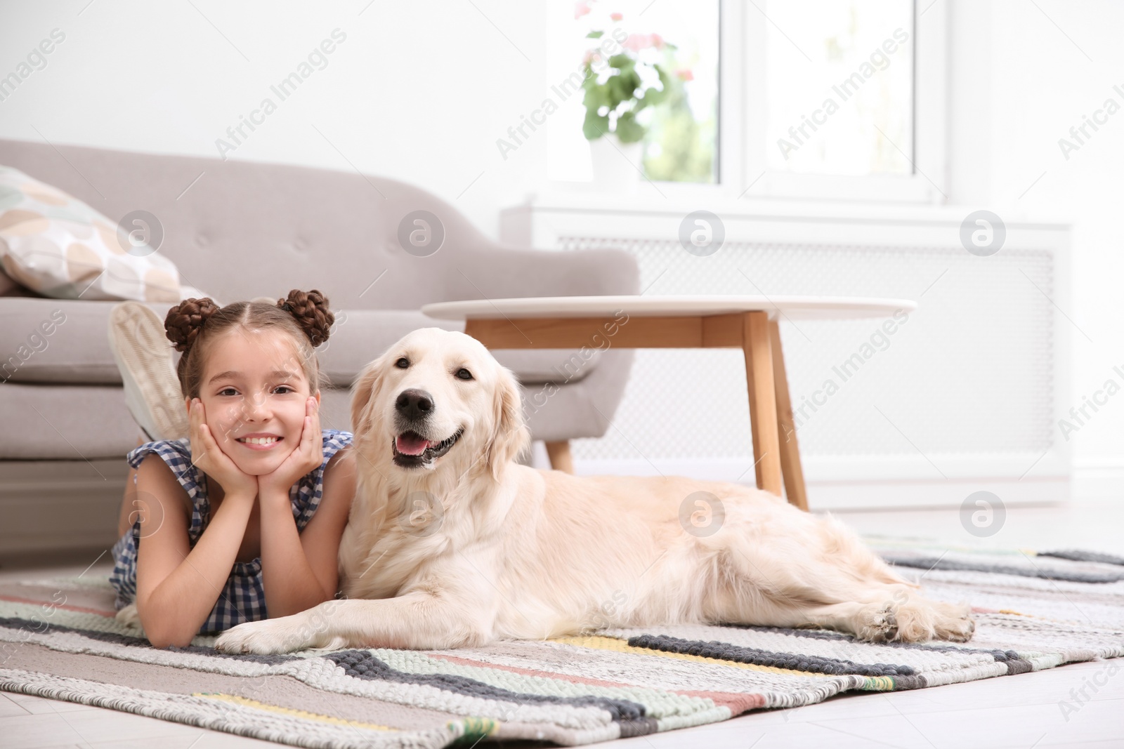 Photo of Cute little child with her pet on floor at home