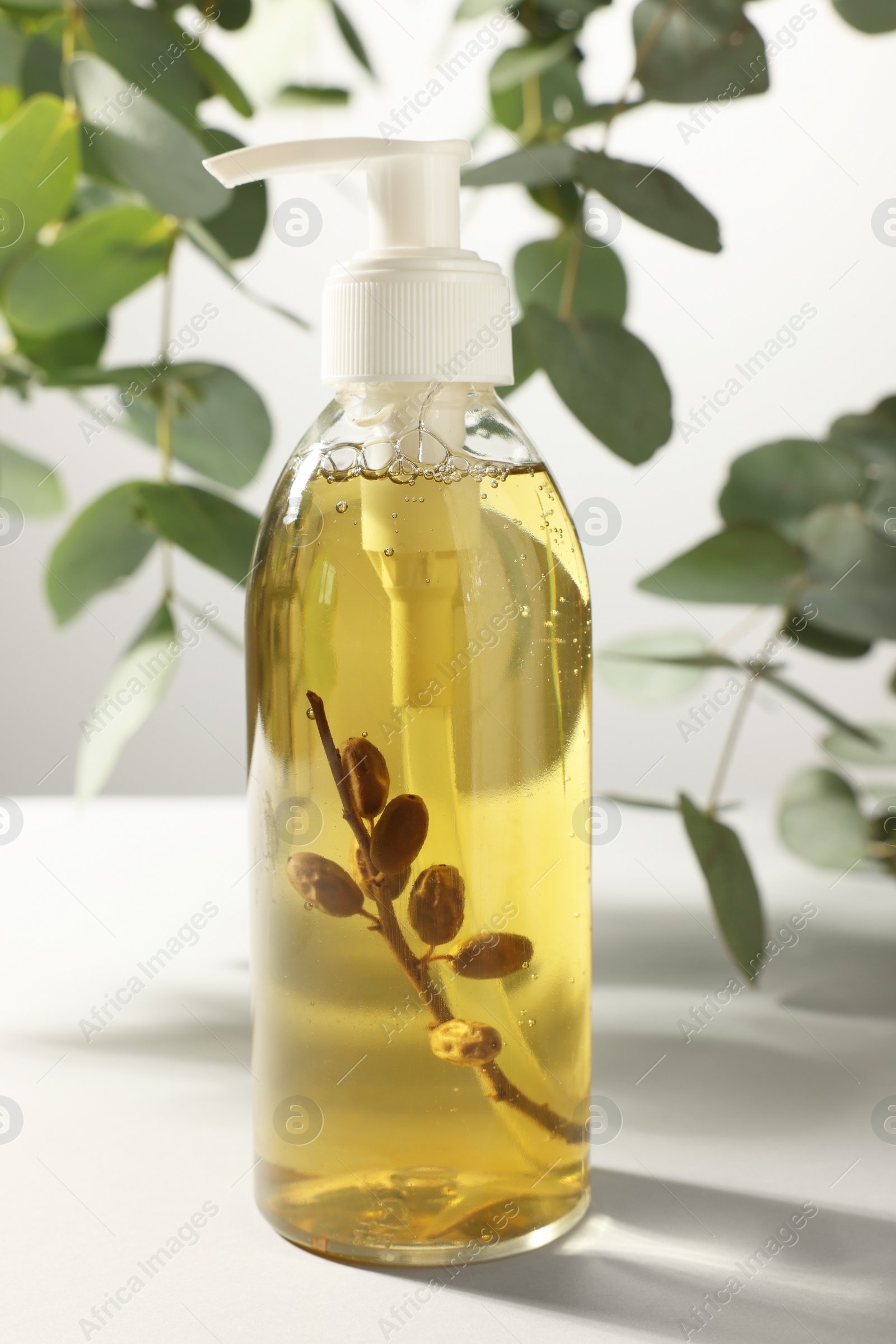 Photo of Bottle of liquid soap on white table near eucalyptus branches