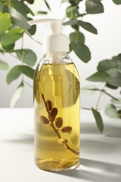 Bottle of liquid soap on white table near eucalyptus branches