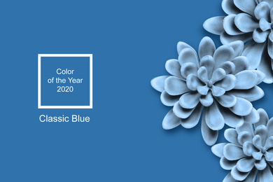 Image of Decorative succulents on bright background, flat lay. Color of the year 2020 (Classic blue)
