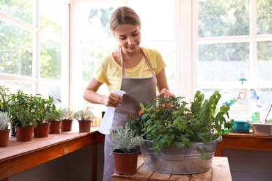 Photo of Young woman sprinkling home plants at wooden table indoors
