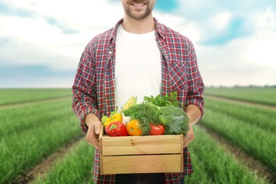 Harvesting season. Farmer holding wooden crate with crop in field, closeup