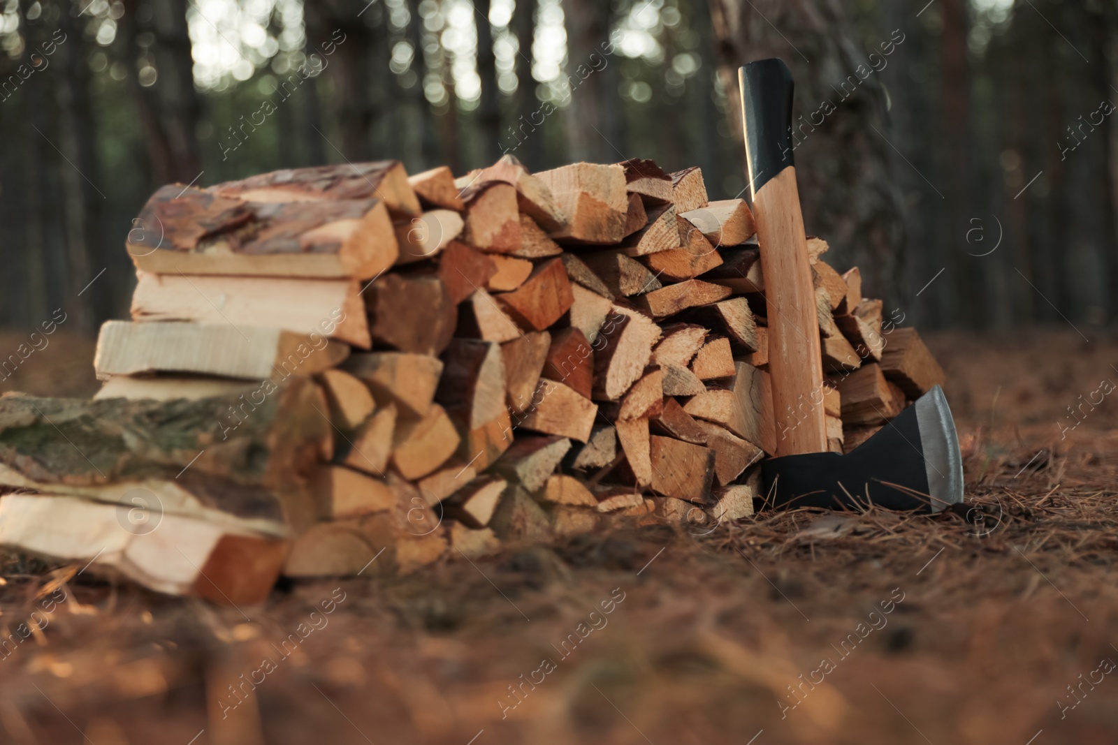 Photo of Stack of cut firewood and axe in forest, closeup